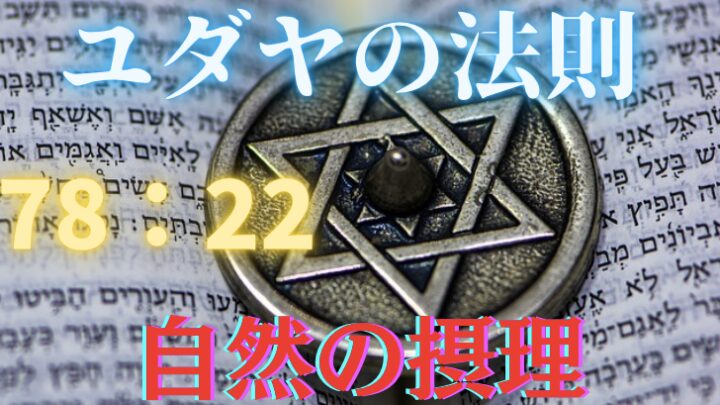 78対22の法則とは？ビジネスや人間関係にも当てはまる自然の摂理